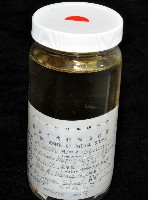 高屏遠環蚓藏品圖，第5張