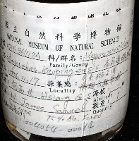 高屏遠環蚓藏品圖，第6張