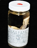 隘寮遠環蚓藏品圖，第9張