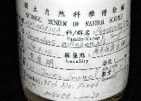 隘寮遠環蚓藏品圖，第10張