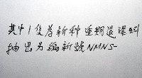 南仁遠環蚓(新種)藏品圖，第7張