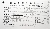 南仁遠環蚓(新種)藏品圖，第8張