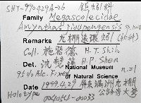 九棚遠環蚓(新種)藏品圖，第8張