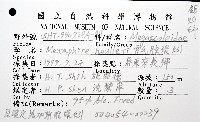 霍氏腔環蚓藏品圖，第8張