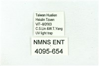 臺雪苔蛾藏品圖，第3張