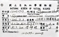 網楯海膽藏品圖，第16張