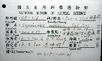 造殼海葵之一種藏品圖，第8張