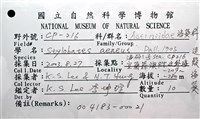 造殼海葵之一種藏品圖，第22張