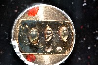 礁溪粟螺藏品圖，第6張