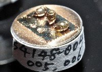 礁溪粟螺藏品圖，第4張