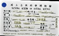 礁溪粟螺藏品圖，第8張