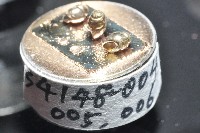 礁溪粟螺藏品圖，第7張