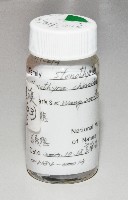 礁溪粟螺藏品圖，第1張