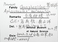 臺灣秘蛛藏品圖，第4張