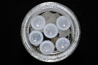 西表島新米蝦藏品圖，第7張