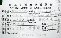 麵包海星(饅頭海星)藏品圖，第12張