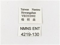 白漪波眼蝶藏品圖，第3張