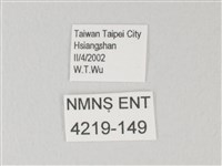 靛色琉灰蝶藏品圖，第3張