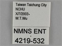 細波遷粉蝶藏品圖，第3張