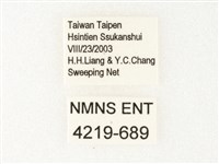 旖斑蝶藏品圖，第3張