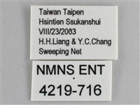 斐豹蛺蝶藏品圖，第3張