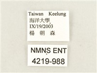 方環蝶藏品圖，第3張