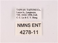 曲波紋灰蝶藏品圖，第3張