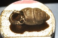 梅山豆蝸牛藏品圖，第4張