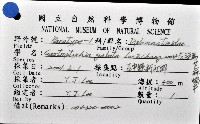 左旋扁芝麻蝸牛藏品圖，第6張