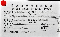 似高山芝麻蝸牛藏品圖，第10張