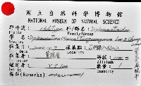 董王芝麻蝸牛藏品圖，第10張