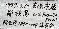 藤壺三角鎧茗荷藏品圖，第7張