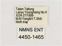 暮眼蝶、樹蔭蝶藏品圖，第3張