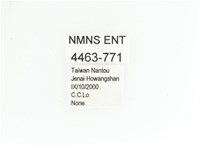 艷金龜藏品圖，第2張