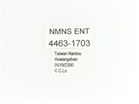 艷金龜藏品圖，第2張