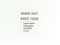 艷金龜藏品圖，第2張