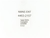 藍艷白點花金龜藏品圖，第2張