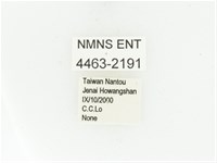 藍艷白點花金龜藏品圖，第2張