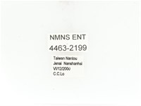 臺灣扇角金龜藏品圖，第2張