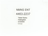 艷金龜藏品圖，第2張