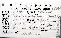 雙乳突僧頭烏賊藏品圖，第8張