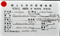 高木大傘口煙管蝸牛藏品圖，第11張