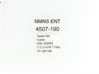 綠艷金龜藏品圖，第2張