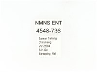 東方白點花金龜藏品圖，第2張