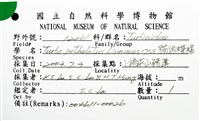 貓眼蠑螺藏品圖，第8張