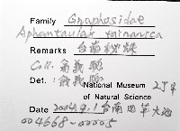 臺灣秘蛛藏品圖，第4張