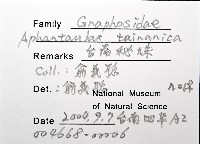 臺灣秘蛛藏品圖，第4張