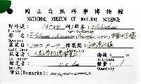 中華大耳螺藏品圖，第8張