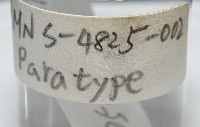 臺灣花瓣蛤藏品圖，第8張