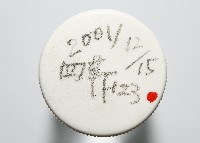 臺灣花瓣蛤藏品圖，第4張